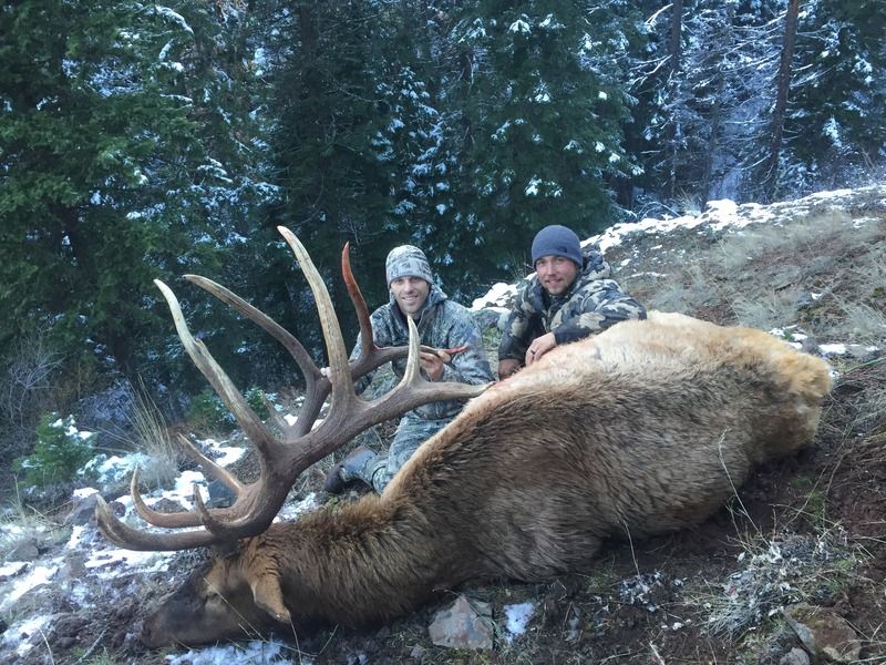 2015 Raffle elk hunt short story and pictures IFish Fishing Forum